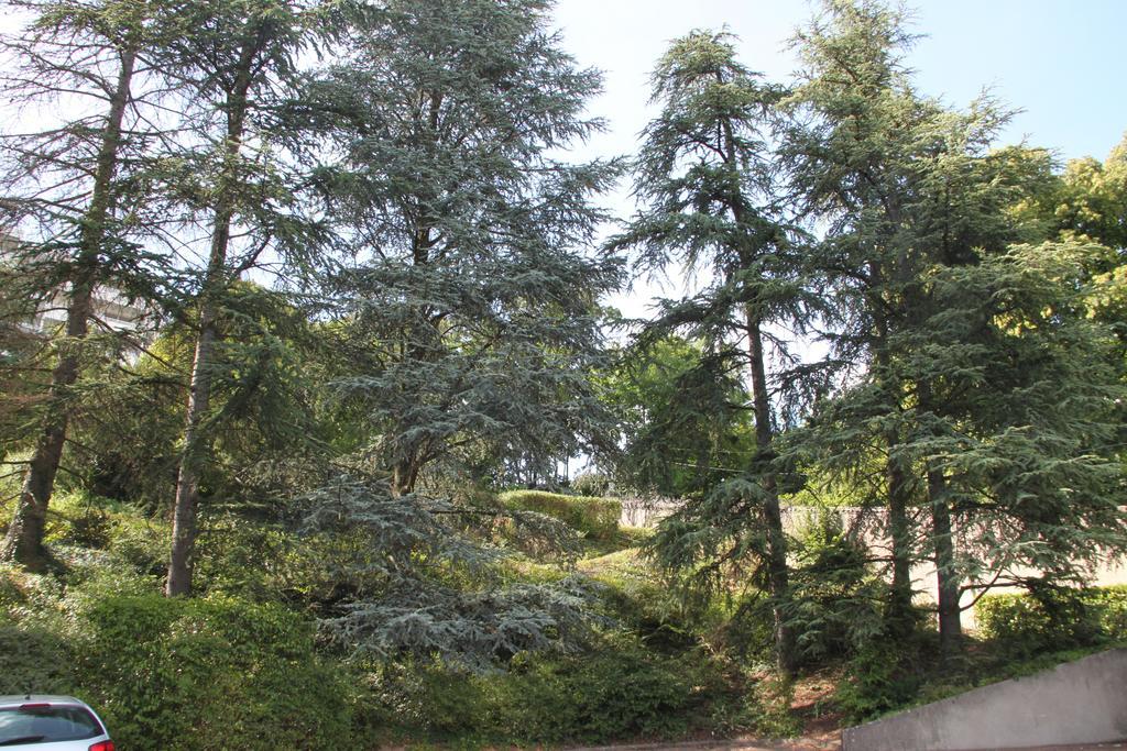 Bed and Breakfast Les Hauts De Perrache Sainte-Foy-lès-Lyon Exteriér fotografie